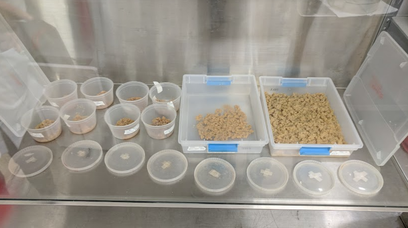 Callus Cultures