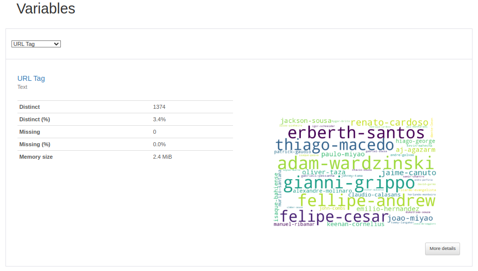 ydata Summary Example